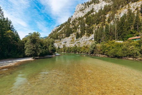 Enns with clear water and lush woodland, Gesäuse, Styria, Austria