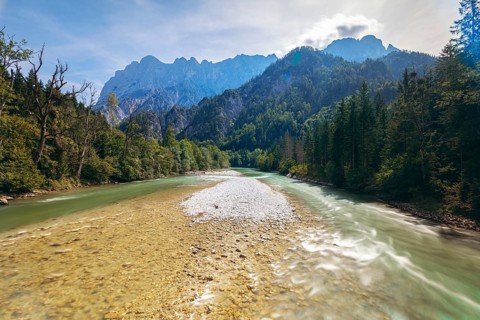 Enns with gravel bank surrounded by wooded banks, Reichenstein group in the background, Gesäuse,