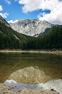 Meßnerin reflected in the Green Lake surrounded by forest under a blue sky, Tragöß, Styria, Austria