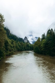 Enns after heavy rainfall surrounded by dense forests and fog-covered mountains, Gesäuse, Styria,