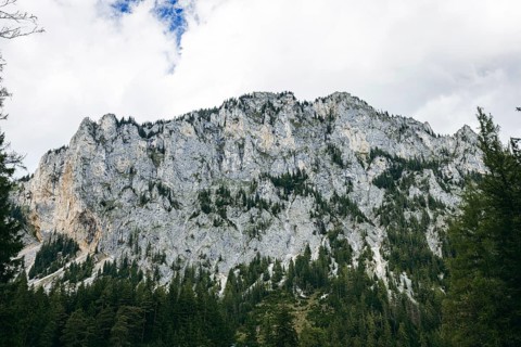 Rock face, Pribitz, Tragöß, Styria, Austria