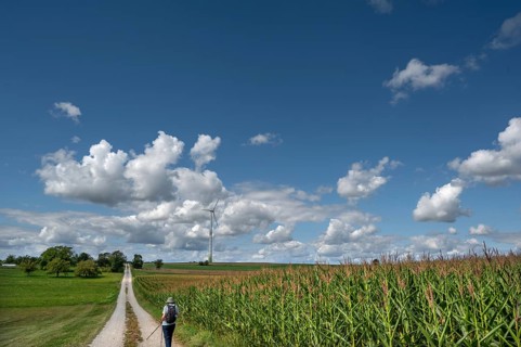 Hiker on a country lane in Franconian landscape, a windmill behind, cloudy sky, Karsberg, Upper