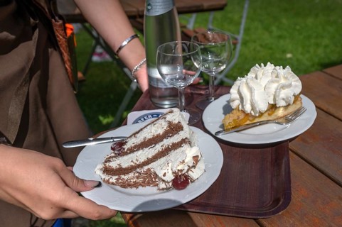 Cakes are served on a tray in a garden café, Franconia, Bavaria, Germany