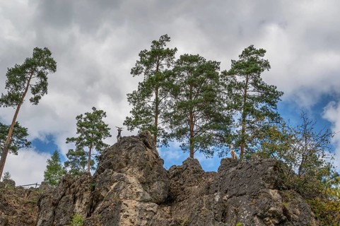 Domestic goats (Capra aegagrus hircus) on a climbing rock, Obertrubach, Upper Franconia, Bavaria,