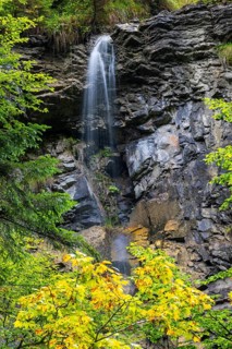 Small waterfall within the Breitachklamm gorge, beech (Fagus), beech family (Fagaceae),