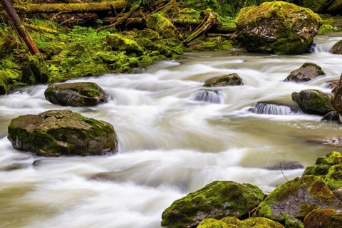 Breitach flows through stream bed with stones, stream, Schrattenkalk, Breitachklamm gorge,