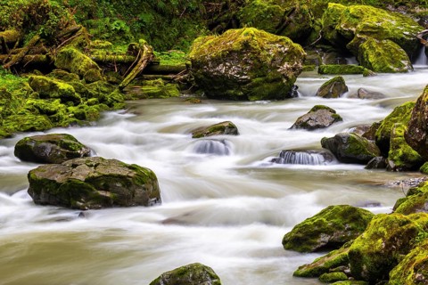 Breitach flows through stream bed with stones, stream, Schrattenkalk, Breitachklamm gorge,