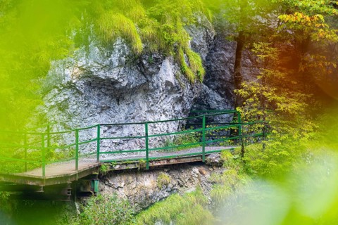 Hiking trail through the gorge, footbridge, coloured foliage, Schrattenkalk, Breitachklamm,