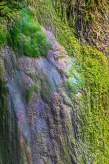 Sinterstein with mosses, Hinanger waterfalls, gorge, rock, limestone, Hinang, Fischen, Allgäu Alps,