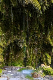 Sintered rock overgrown with mosses, Hinang waterfalls, gorge, rock, limestone, Hinang, Fischen,
