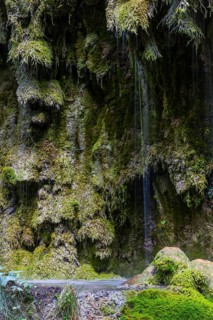 Sintered rock overgrown with mosses, Hinang waterfalls, gorge, rock, limestone, Hinang, Fischen,