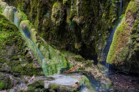 Sintered rock overgrown with mosses, Hinang waterfalls, gorge, rock, limestone, Hinang, Fischen,