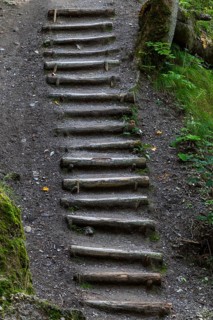 Hiking stairs made of wooden steps, gorge, Hinang, Fischen, Allgäu Alps, Bavaria, Germany