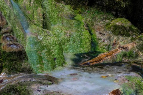 Sinterstein overgrown with mosses, Hinanger waterfalls, gorge, rock, limestone, Hinang, Fischen,