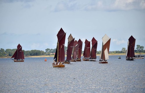 Zeesbootregatta on the Bodden near Bodstedt, Darß, Mecklenburg-Vorpommern, Germany