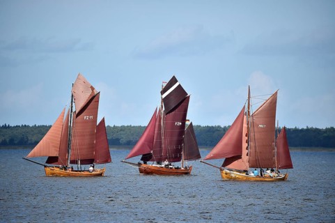 Zeesbootregatta on the Bodden near Bodstedt, Darß, Mecklenburg-Vorpommern, Germany
