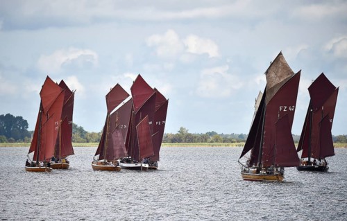 Zeesbootregatta on the Bodden near Bodstedt, Darß, Mecklenburg-Vorpommern, Germany