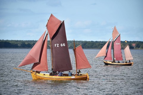 Zeesbootregatta on the Bodden near Bodstedt, Darß, Mecklenburg-Vorpommern, Germany