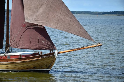 Zeesbootregatta on the Bodden near Bodstedt, Darß, Mecklenburg-Vorpommern, Germany