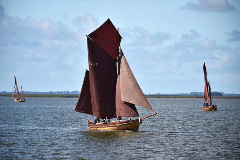 Zeesbootregatta on the Bodden near Bodstedt, Darß, Mecklenburg-Vorpommern, Germany