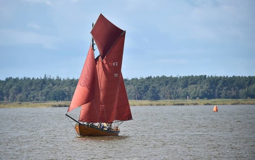 Zeesbootregatta on the Bodden near Bodstedt, Darß, Mecklenburg-Vorpommern, Germany