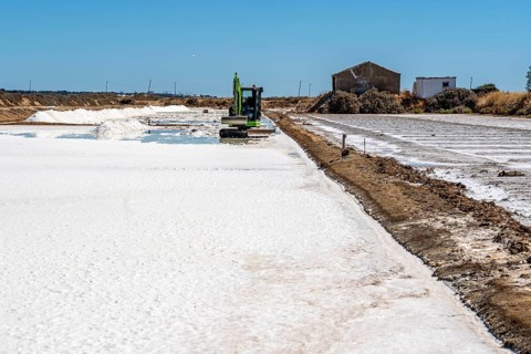 Salt extraction on the Algarve coast in Portugal, 95 per cent of Portuguese sea salt is extracted
