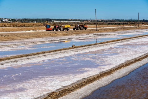Salt extraction on the Algarve coast in Portugal, 95 per cent of Portuguese sea salt is extracted