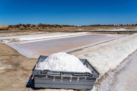 Salt production on the Algarve coast in Portugal, 95 per cent of Portuguese sea salt is extracted