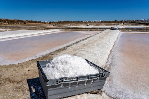 Salt production on the Algarve coast in Portugal, 95 per cent of Portuguese sea salt is extracted