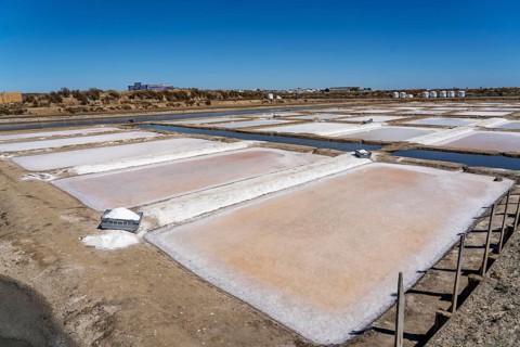 Salt production on the Algarve coast in Portugal, 95 per cent of Portuguese sea salt is extracted