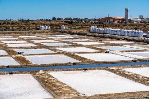Salt production on the Algarve coast in Portugal, 95 per cent of Portuguese sea salt is extracted
