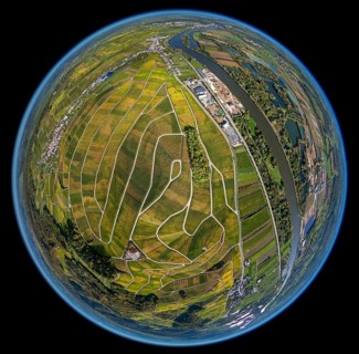 Aerial photo, wine-growing region Moselle Luxembourg, vineyards, Wellenstein, Saarland,