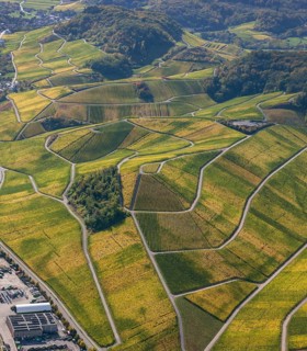 Aerial photo, wine-growing region Moselle Luxembourg, vineyards, Wellenstein, Saarland,