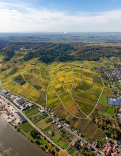 Aerial photo, wine-growing region Moselle Luxembourg, vineyards, Wellenstein, Saarland,