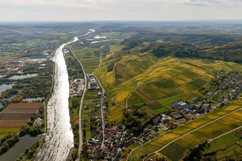 Aerial photo, wine-growing region Moselle Luxembourg, vineyards, Wellenstein, Saarland,