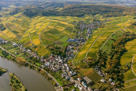 Aerial photo, wine-growing region Moselle Luxembourg, vineyards, Remich, Saarland, Grevenmacher,