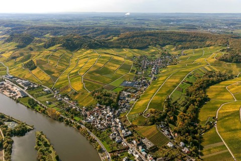 Aerial photo, wine-growing region Moselle Luxembourg, vineyards, Remich, Saarland, Grevenmacher,