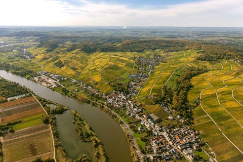 Aerial photo, wine-growing region Moselle Luxembourg, vineyards, Remich, Saarland, Grevenmacher,