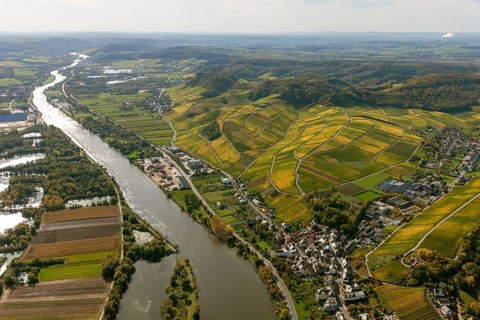 Aerial photo, wine-growing region Moselle Luxembourg, vineyards, Remich, Saarland, Grevenmacher,