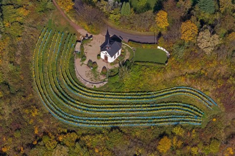 Aerial view, chapel at Ellerweg, vineyard, Merzig, Saarland, Germany, Europe, birds-eyes view,