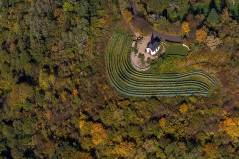 Aerial view, chapel at Ellerweg, vineyard, Merzig, Saarland, Germany, Europe, birds-eyes view,