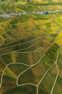 Aerial photo, wine-growing region Moselle Luxembourg, vineyards, Wellenstein, Saarland,
