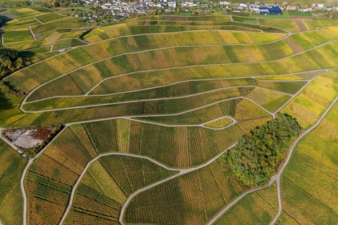 Aerial photo, wine-growing region Moselle Luxembourg, vineyards, Schwebsingen, Saarland,