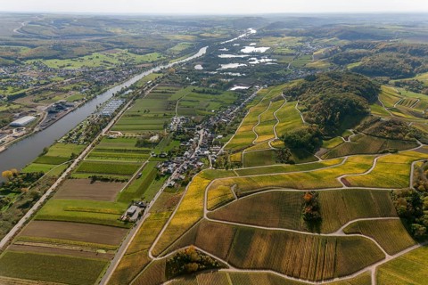 Aerial photo, wine-growing region Moselle Luxembourg, vineyards, Wellenstein, Saarland,