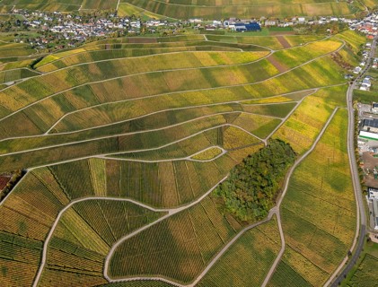 Aerial photo, wine-growing region Moselle Luxembourg, vineyards, Schwebsingen, Saarland,
