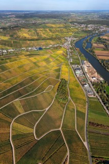 Aerial photo, wine-growing region Moselle Luxembourg, vineyards, Wellenstein, Saarland,
