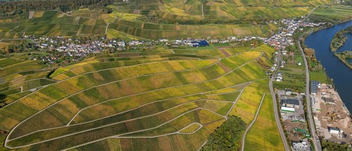 Aerial photo, wine-growing region Moselle Luxembourg, vineyards, Schwebsingen, Saarland,