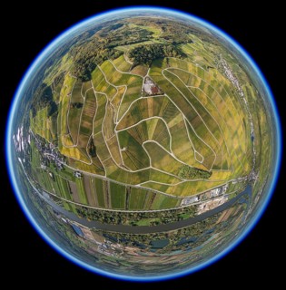 Aerial photo, wine-growing region Moselle Luxembourg, vineyards, Wellenstein, Saarland,