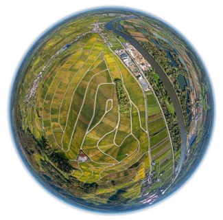 Aerial photo, wine-growing region Moselle Luxembourg, vineyards, Wellenstein, Saarland,