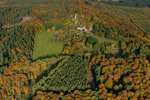 Aerial view, Wildenburg castle ruins in the Wildenburg nature reserve near Kempfeld in the Idarwald